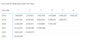 loss triangle report